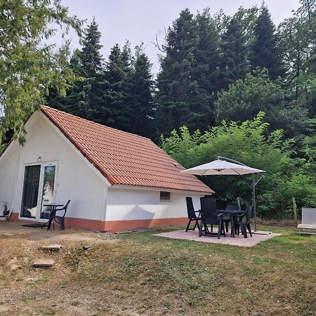 Mon Chalet En Ariege Avec Piscine Daumazan-sur-Arize Exterior photo
